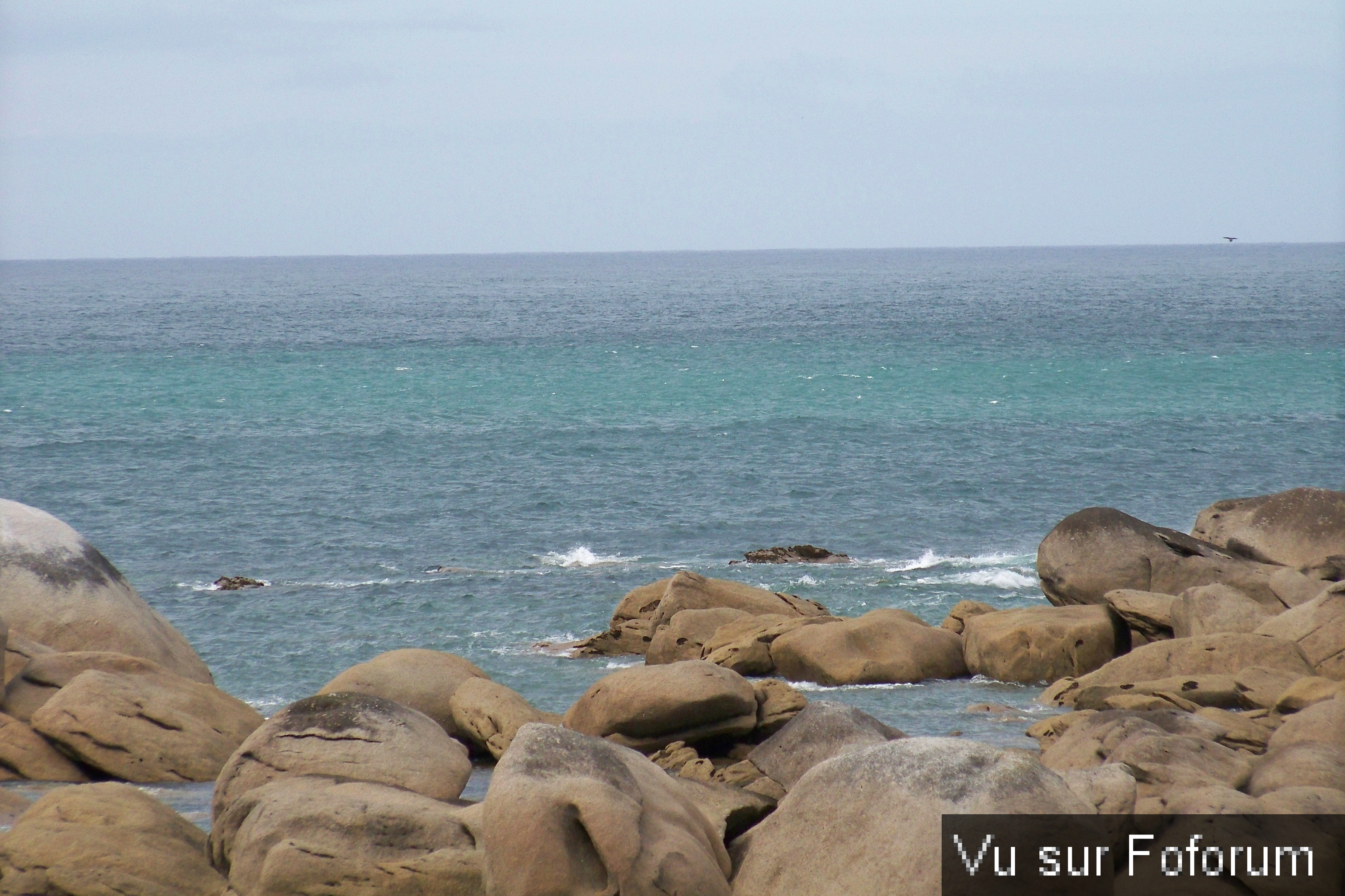 Road-Trip pour Capitaine Jack dans le Finistère Nord (19)