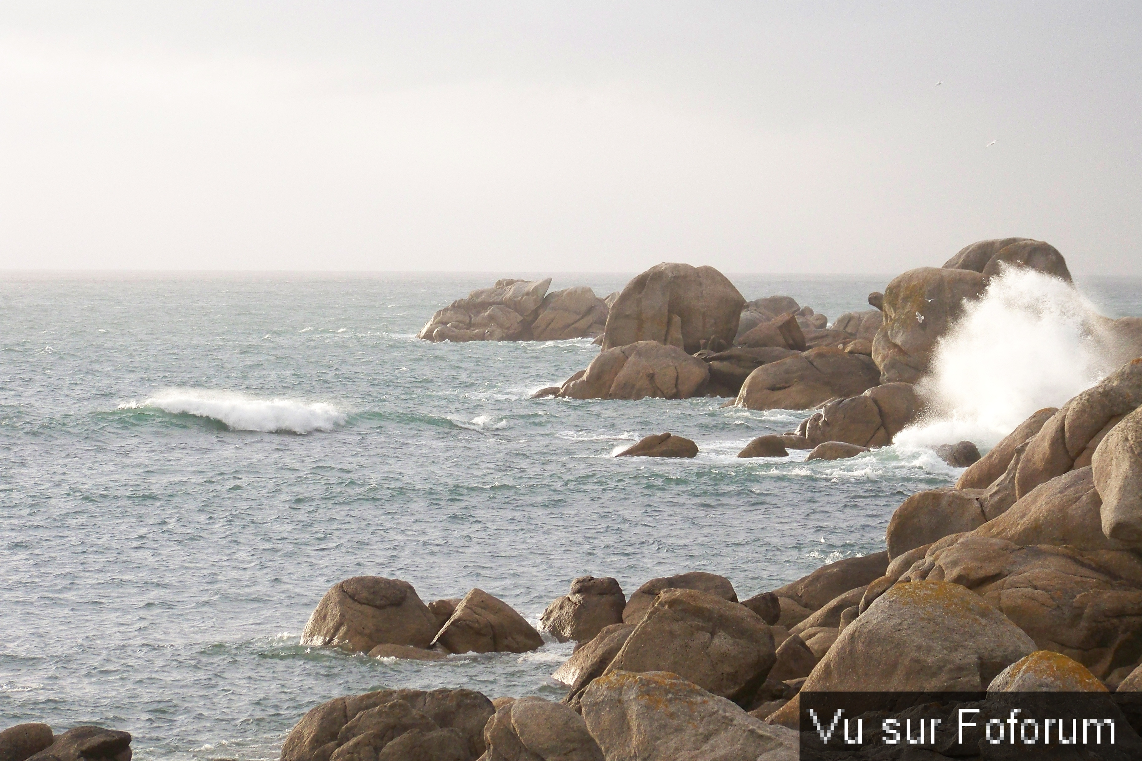 Road-Trip pour Capitaine Jack dans le Finistère Nord (45)