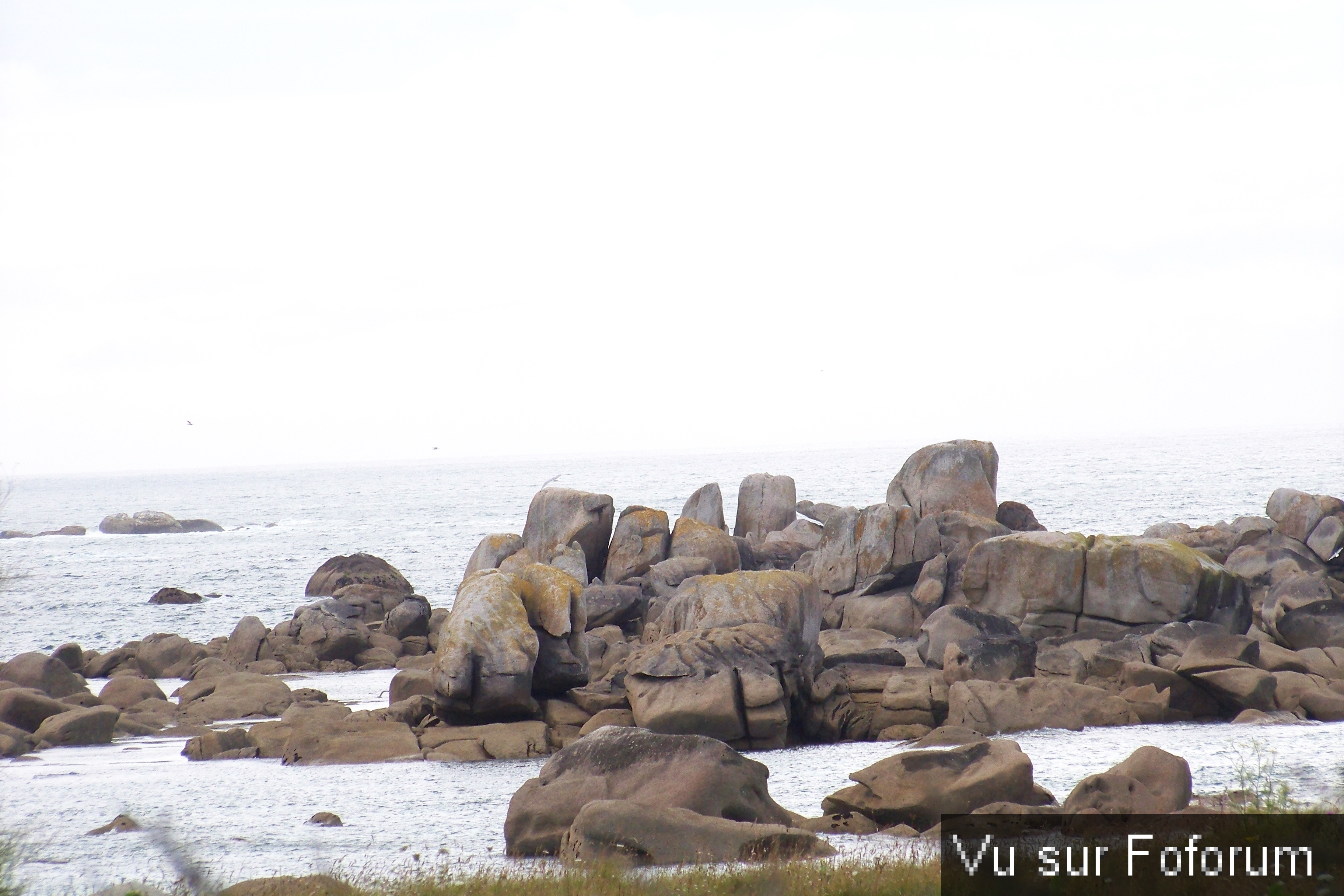 Road-Trip pour Capitaine Jack dans le Finistère Nord (5)