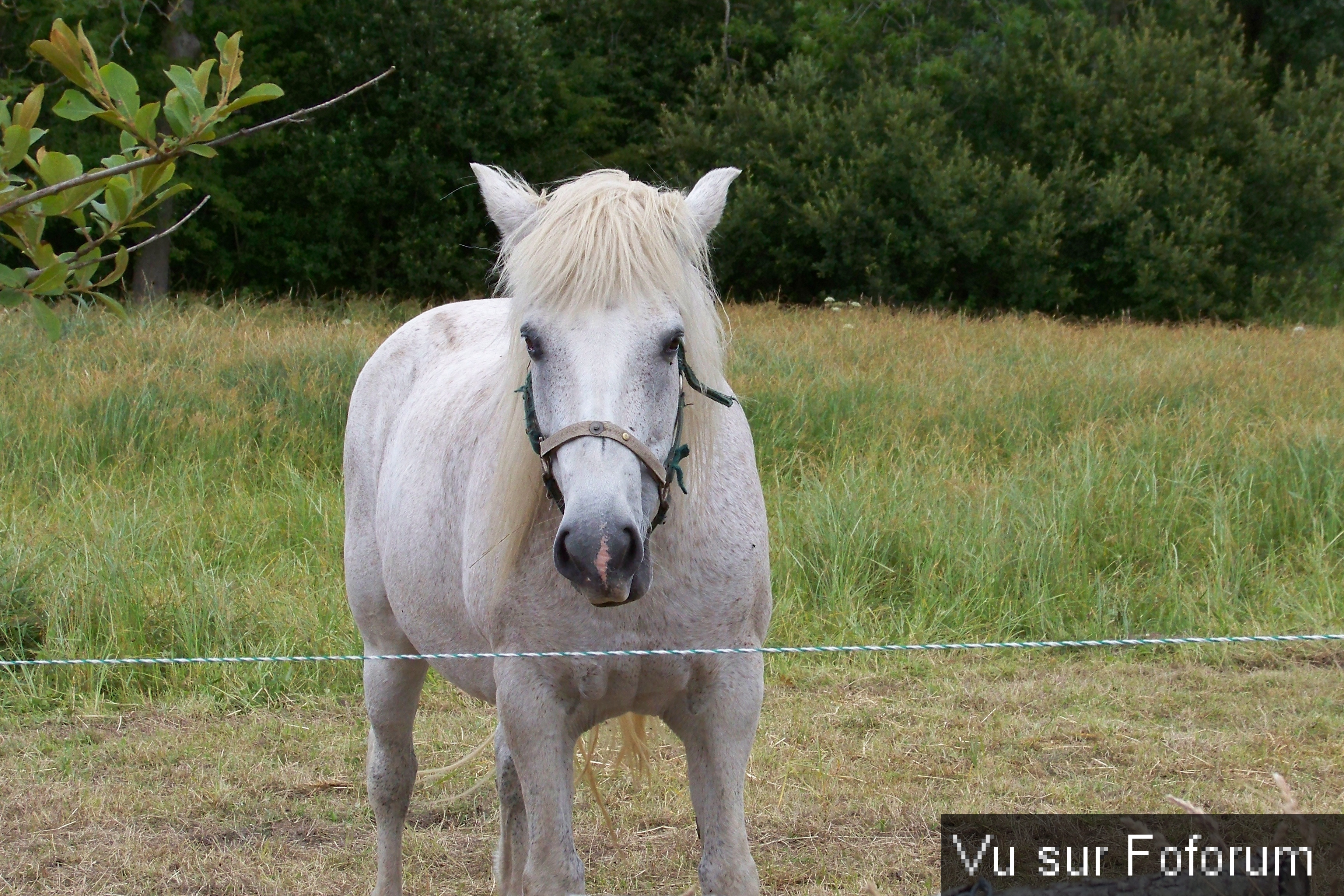 Road-Trip pour Capitaine Jack dans le Finistère Nord (64)