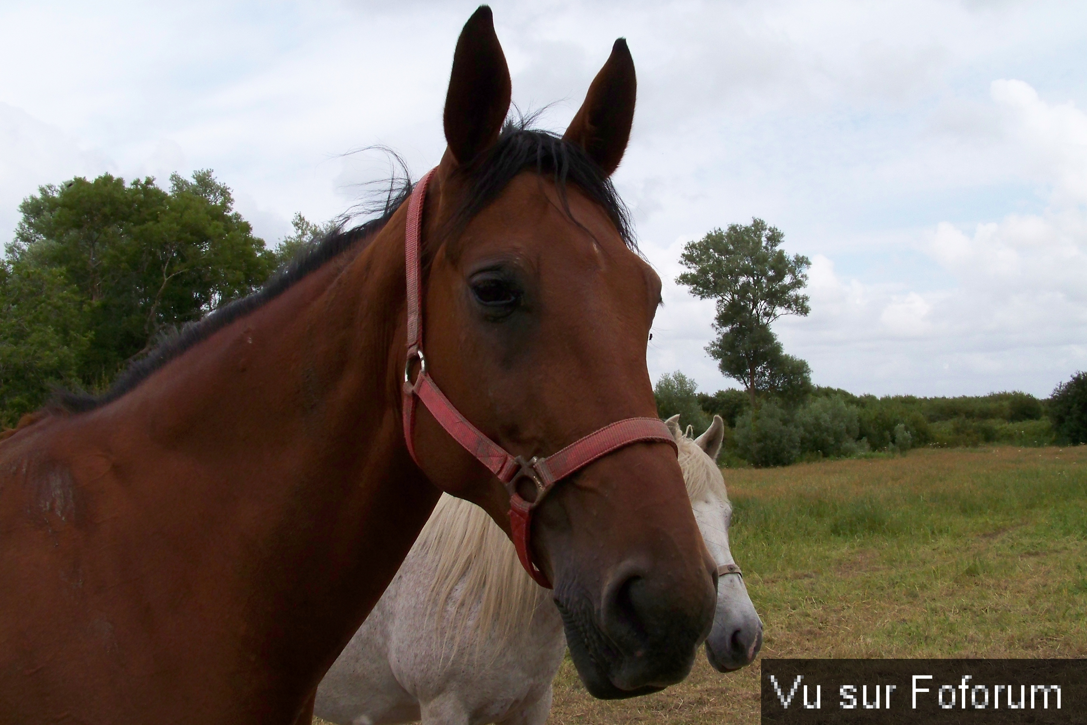Road-Trip pour Capitaine Jack dans le Finistère Nord (65)