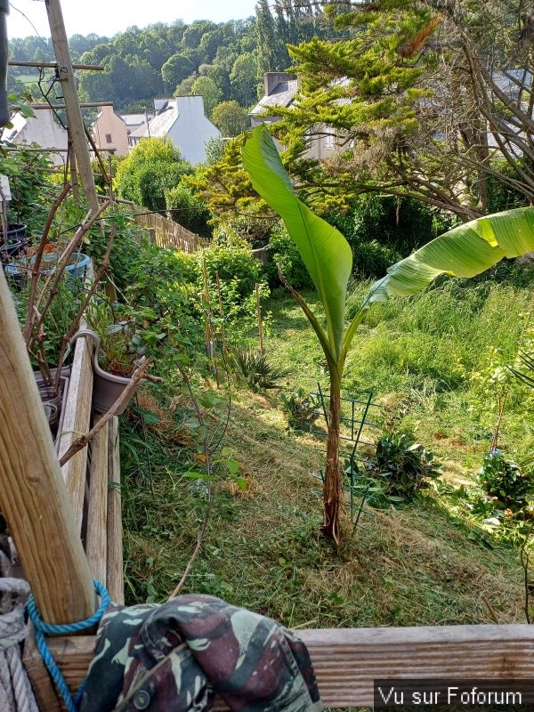 Silence ça pousse (11)_1.jpg