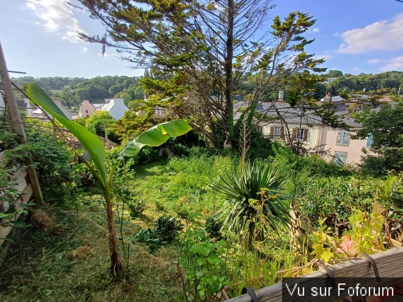 Silence ça pousse (13)_1.jpg