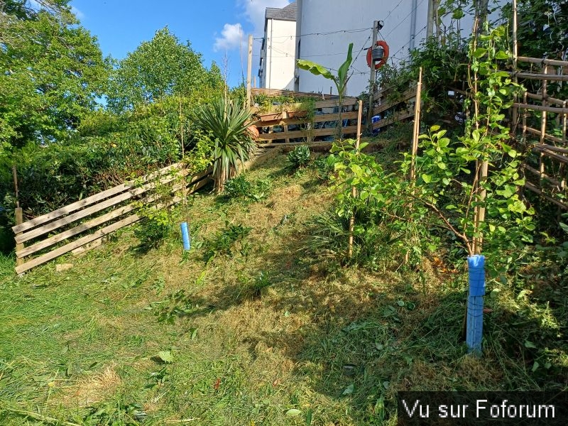 Silence ça pousse (3)_1.jpg