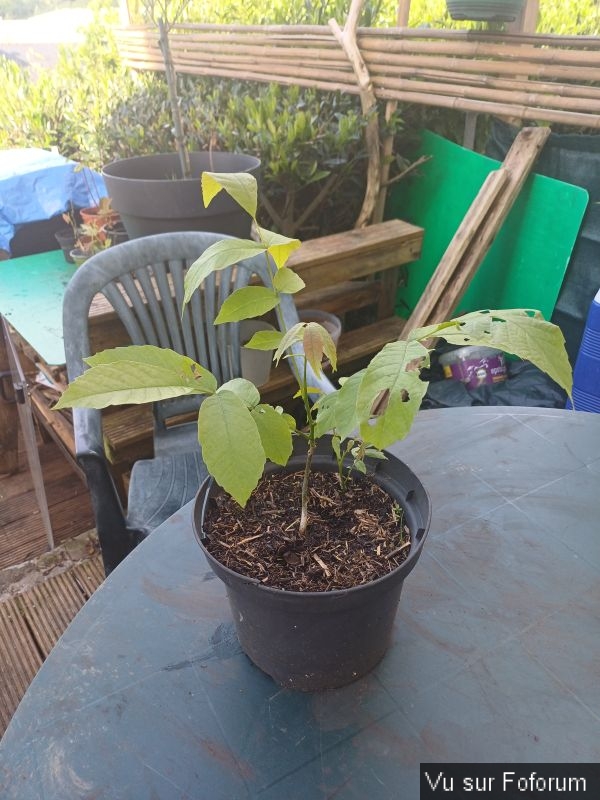 Silence ça pousse (5)_1.jpg