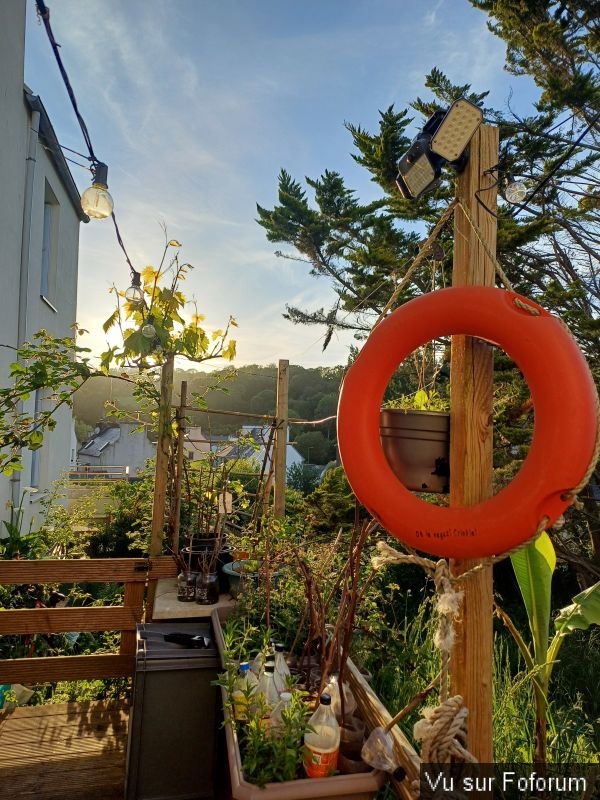 Silence ça pousse (7)_1.jpg