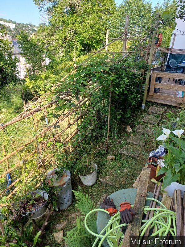 Silence ça pousse (8)_1.jpg