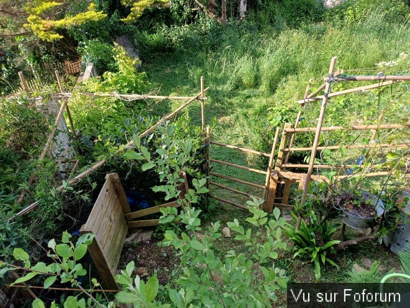 Silence ça pousse (9)_1.jpg