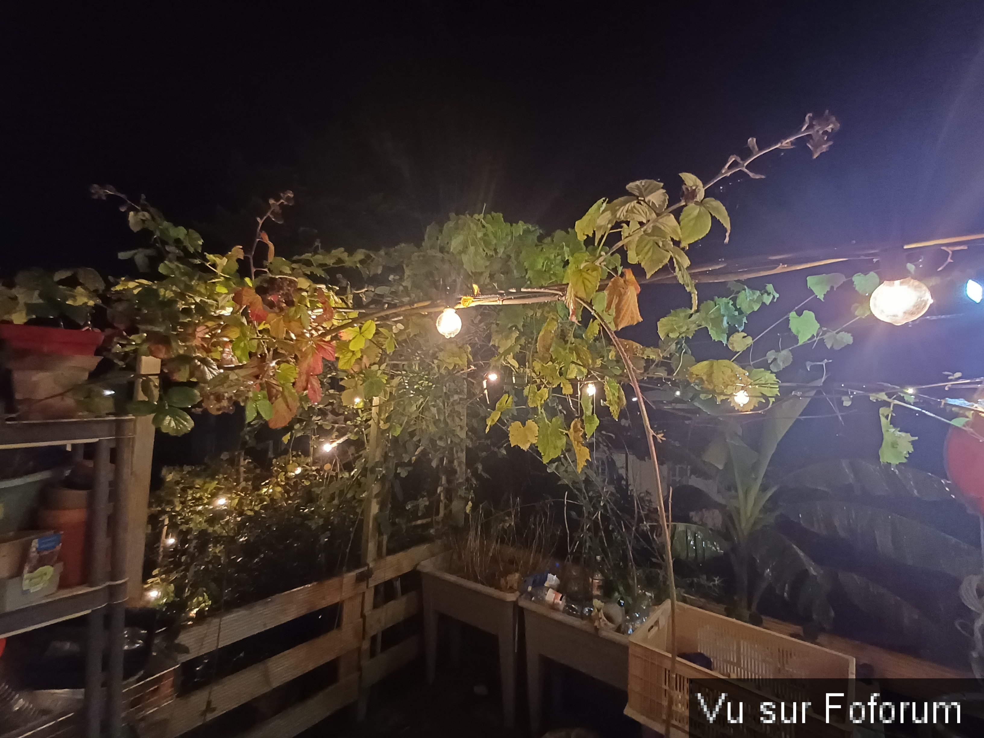 silence ca pousse pour capitaine jack.jpg