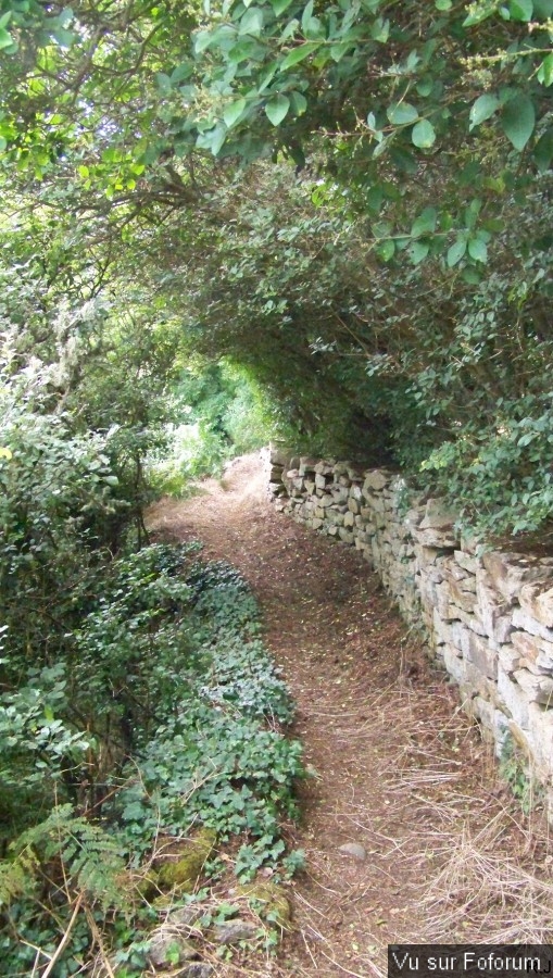 visite du lavoir de kerhuon sis plogoff - capitaine jack (1).jpg