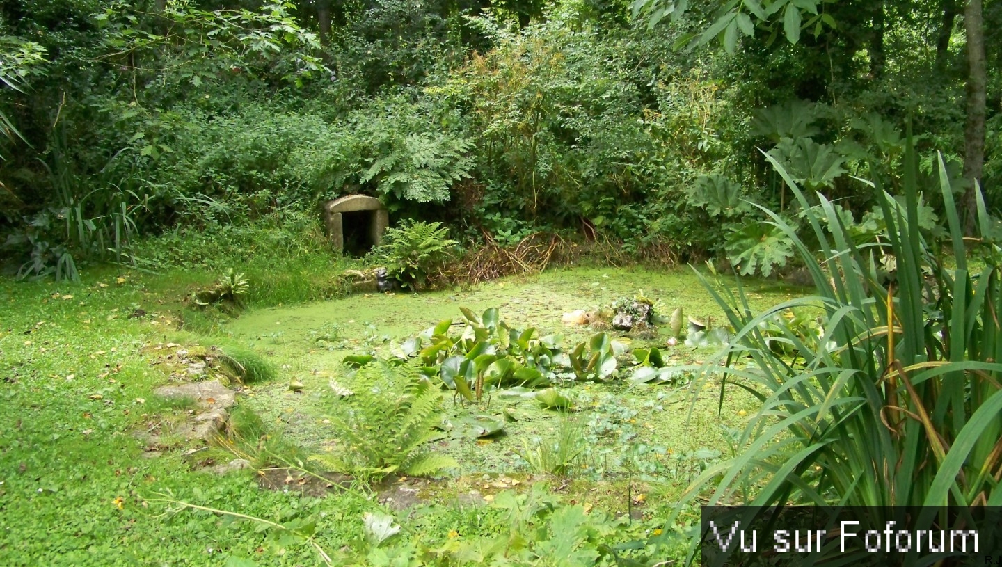 visite du lavoir de kerhuon sis plogoff - capitaine jack (23).jpg