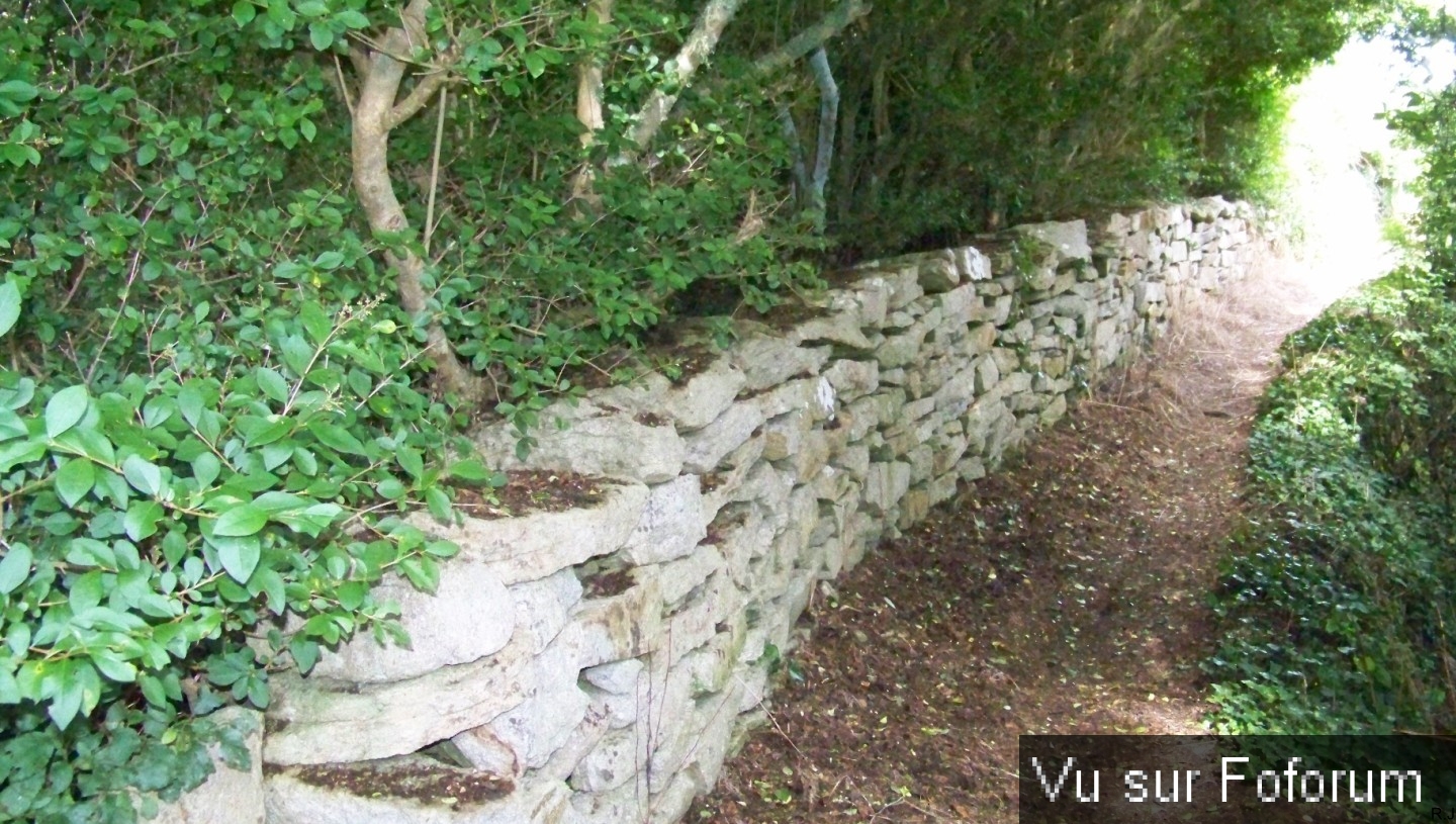 visite du lavoir de kerhuon sis plogoff - capitaine jack (33).jpg