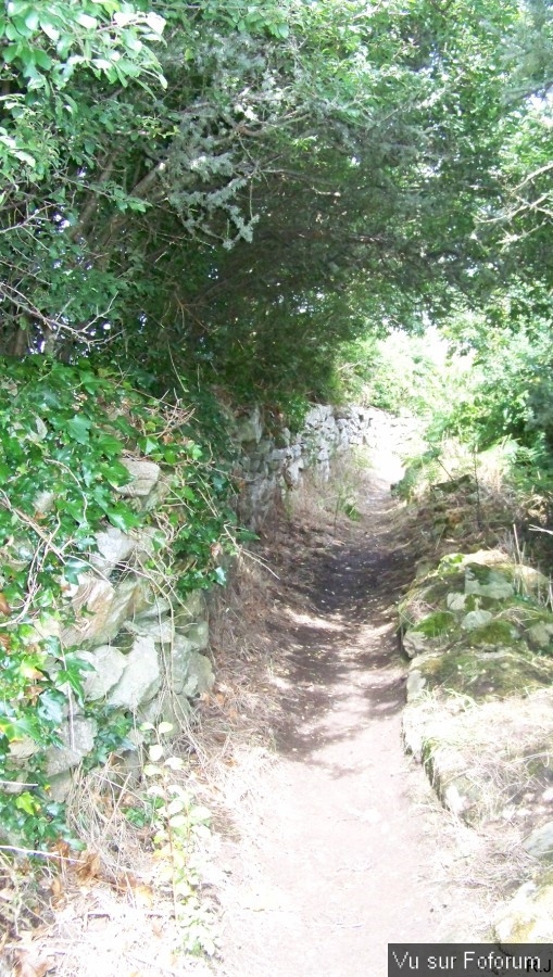 visite du lavoir de kerhuon sis plogoff - capitaine jack (36).jpg